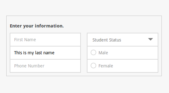 Select dropdown placeholder form illustration