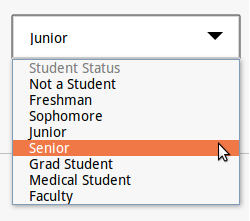 Dropdown Issue Fix