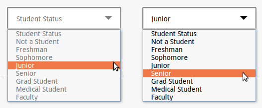 Dropdown placeholder issue